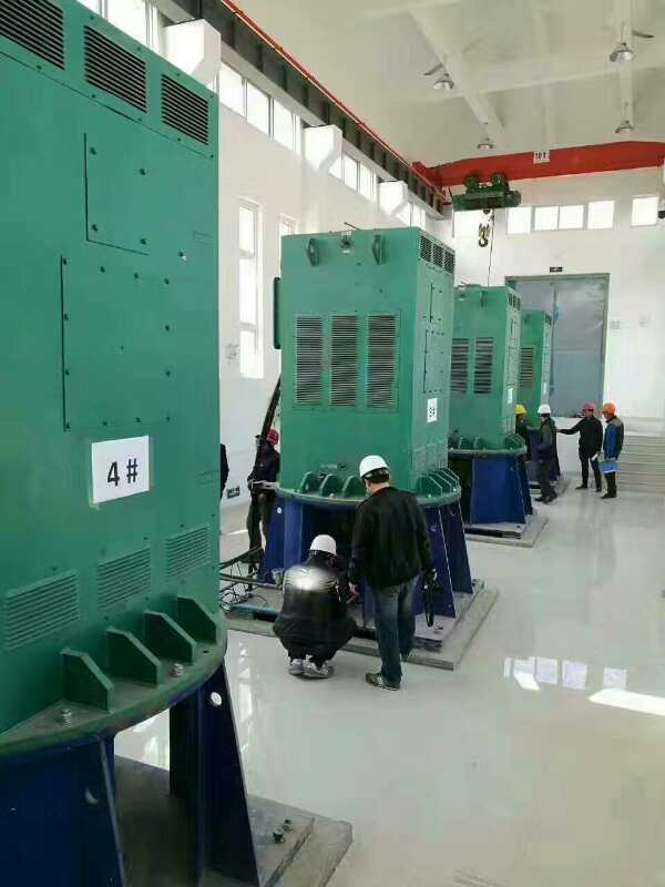 Y6302-4某污水处理厂使用我厂的立式高压电机安装现场