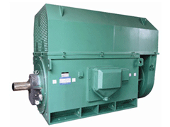 Y6302-4Y系列6KV高压电机